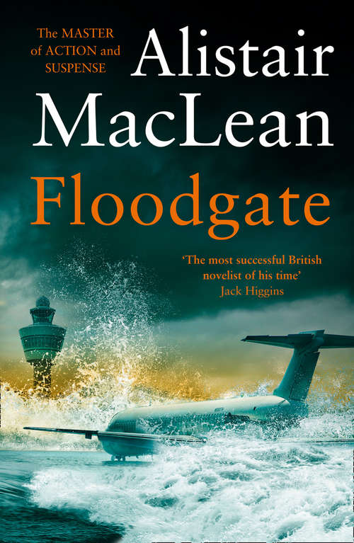 Book cover of Floodgate (ePub edition)