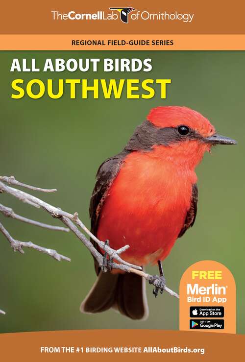 Book cover of All About Birds Southwest (Cornell Lab of Ornithology)