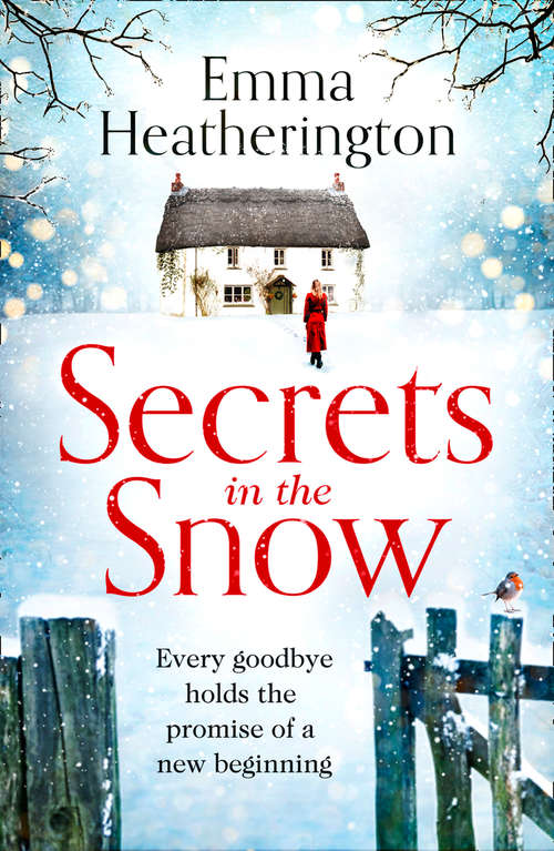Book cover of Secrets in the Snow