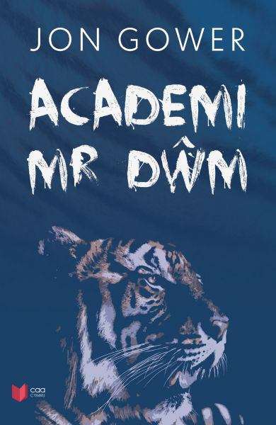 Book cover of Academi Mr Dwm