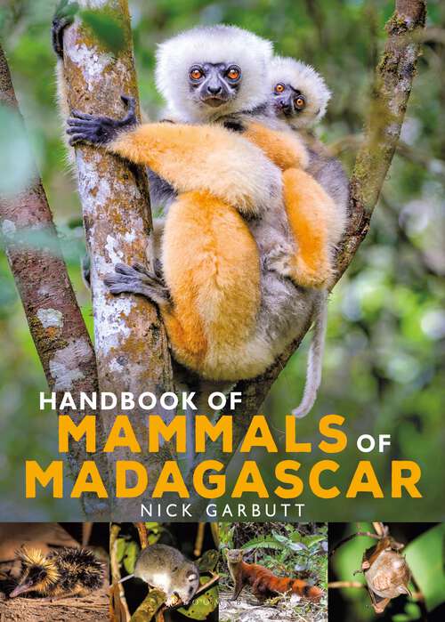 Book cover of Handbook of Mammals of Madagascar