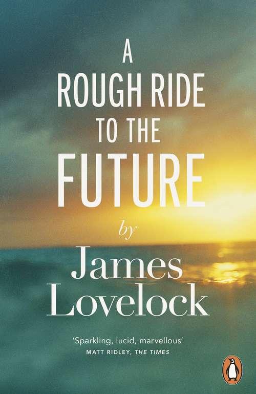 Book cover of A Rough Ride to the Future
