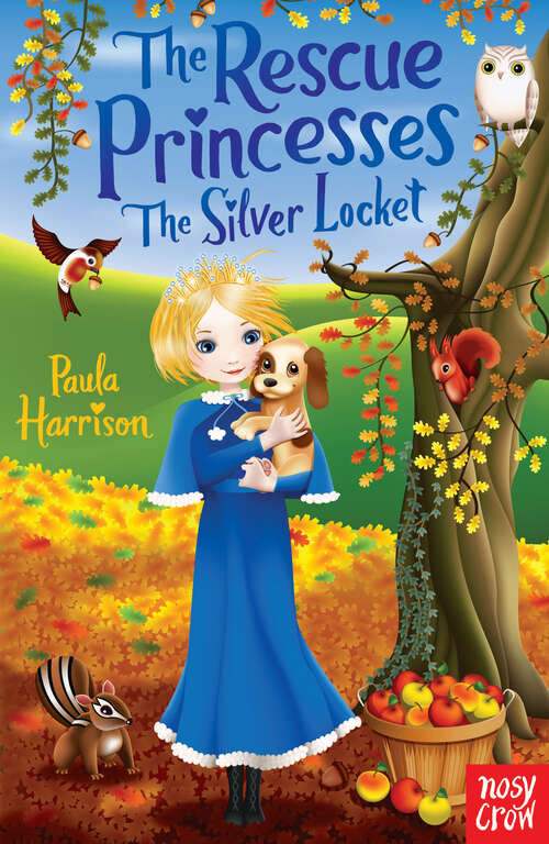 Book cover of The Rescue Princesses: The Silver Locket (The Rescue Princesses)