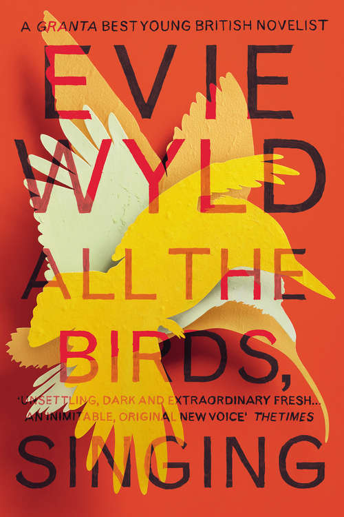 Book cover of All the Birds, Singing
