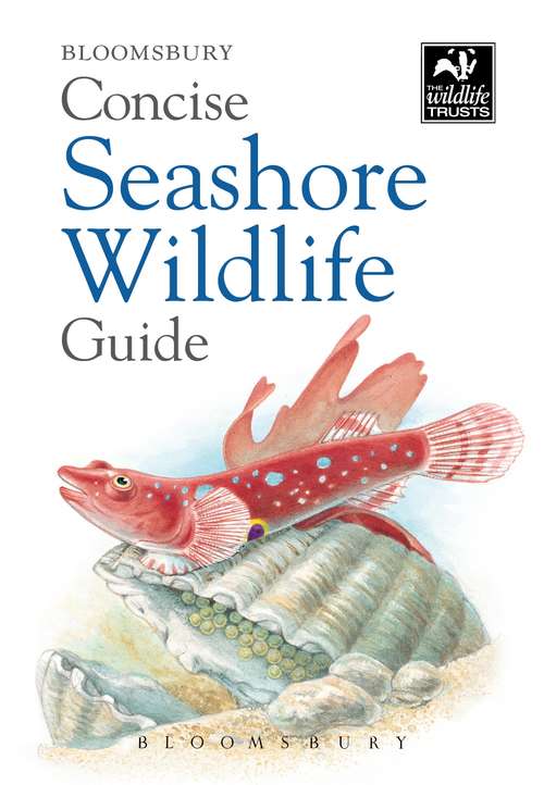 Book cover of Concise Seashore Wildlife Guide