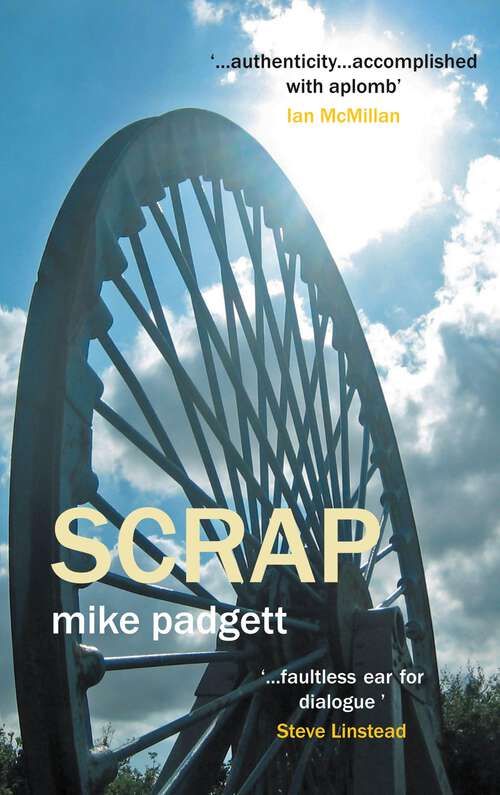 Book cover of Scrap