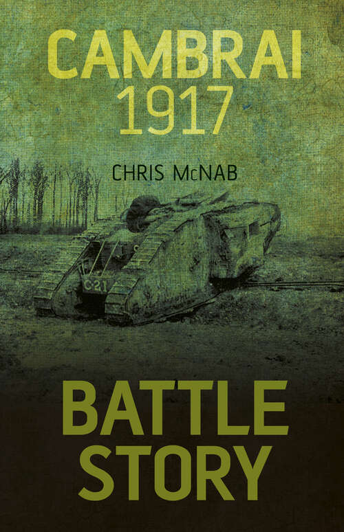 Book cover of Battle Story: Cambrai 1917 (History Press Ser.)