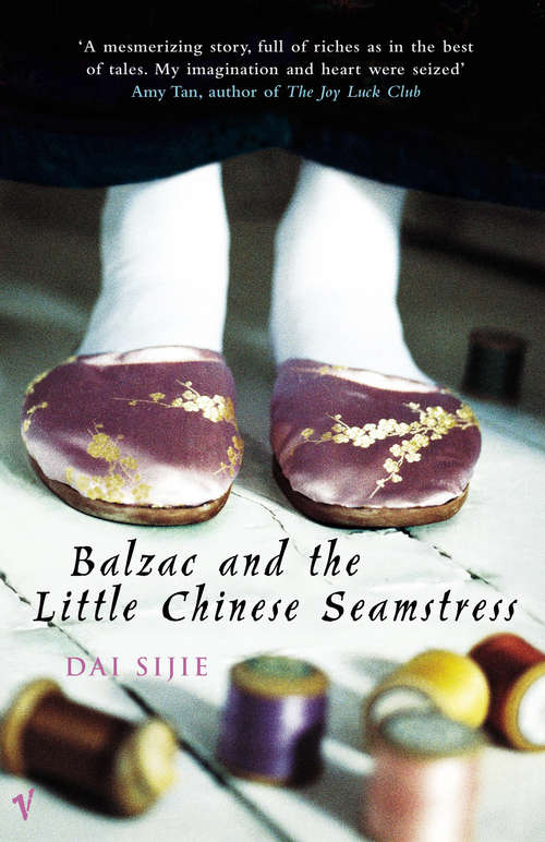 Book cover of Balzac and the Little Chinese Seamstress