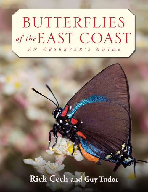 Book cover of Butterflies of the East Coast: An Observer's Guide