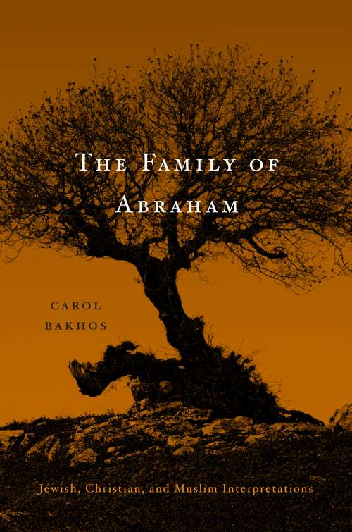 Book cover of The Family of Abraham: Jewish, Christian, And Muslim Interpretations