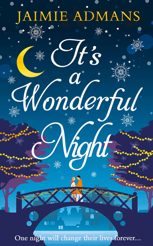 Book cover of It’s a Wonderful Night (ePub edition)