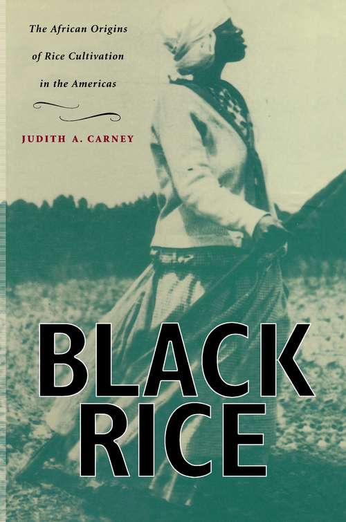 Book cover of Black Rice: The African Origins of Rice Cultivation in the Americas