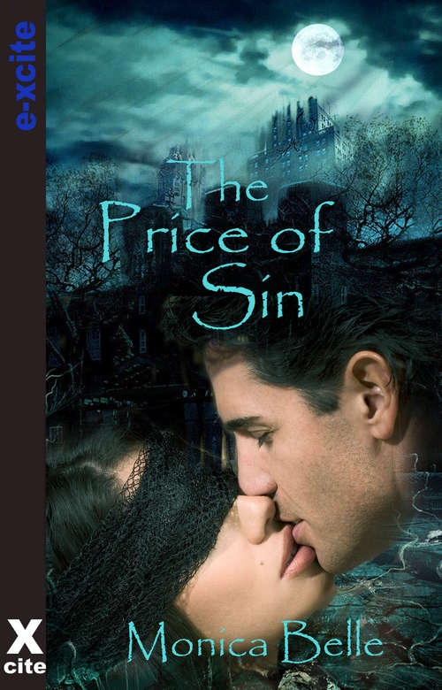 Book cover of The Price of Sin (Teasing the Devil #3)