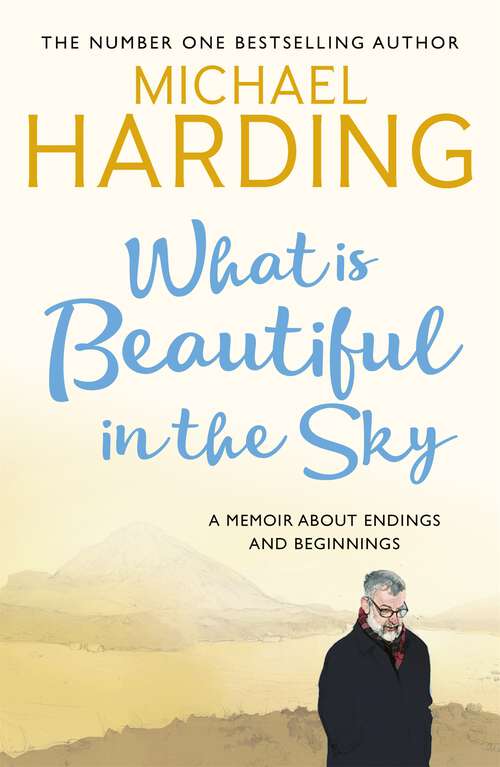 Book cover of What is Beautiful in the Sky: A book about endings and beginnings