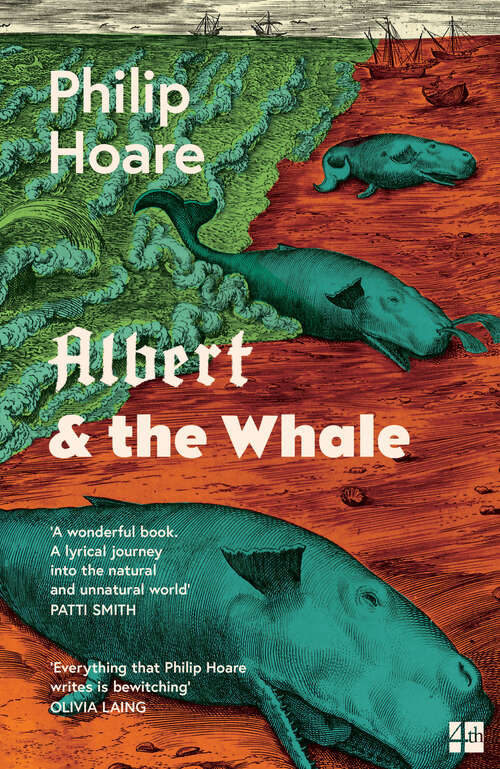 Book cover of Albert and the Whale: Albrecht Dürer And How Art Imagines Our World