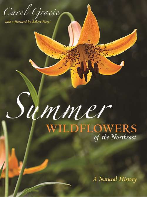 Book cover of Summer Wildflowers of the Northeast: A Natural History