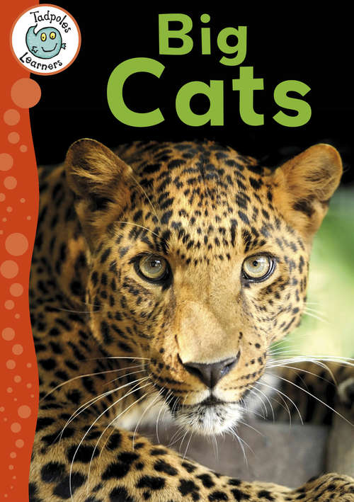 Book cover of Big Cats: Big Cats Leapfrog Learners: Big Cats (Tadpoles Learners #1)