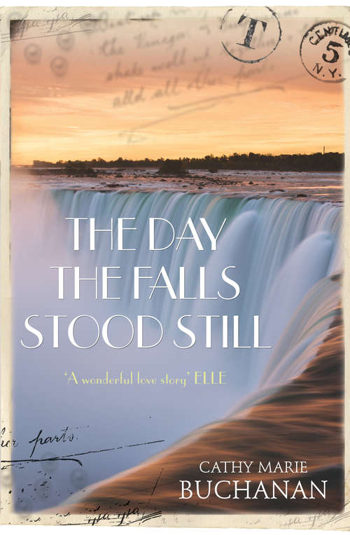 Book cover of The Day the Falls Stood Still