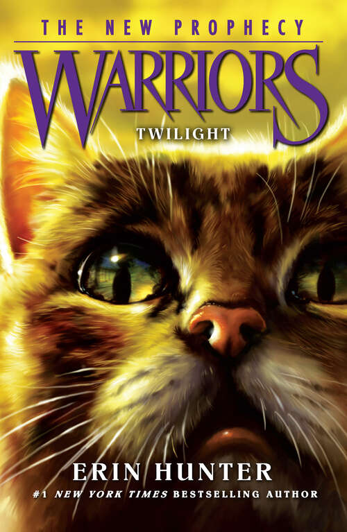 Book cover of TWILIGHT: The New Prophecy #5: Twilight (pb) 12c Flr (ePub edition) (Warriors: The New Prophecy #5)