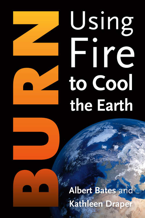 Book cover of Burn: Using Fire to Cool the Earth