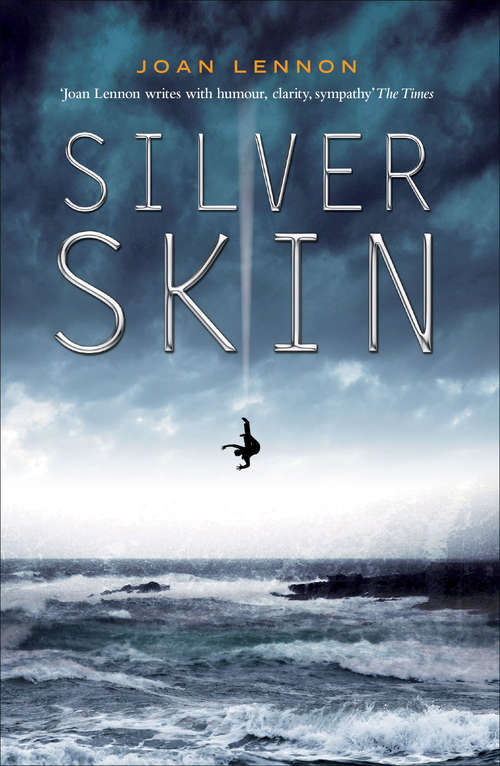 Book cover of Silver Skin