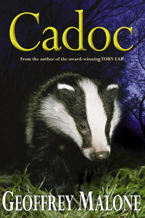 Book cover of Cadoc (7)
