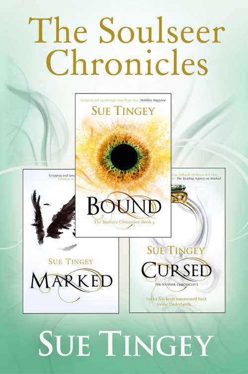 Book cover of The Soulseer Chronicles: The Soulseer Chronicles Book 3 (The Soulseer Chronicles #3)