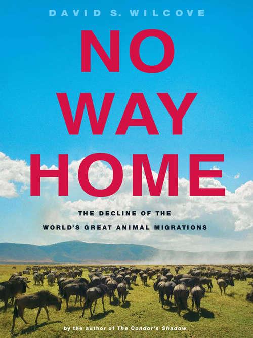 Book cover of No Way Home: The Decline of the World’s Great Animal Migrations (2011)