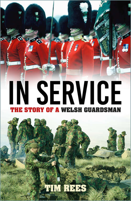 Book cover of In Sights: The Story of a Welsh Guardsman