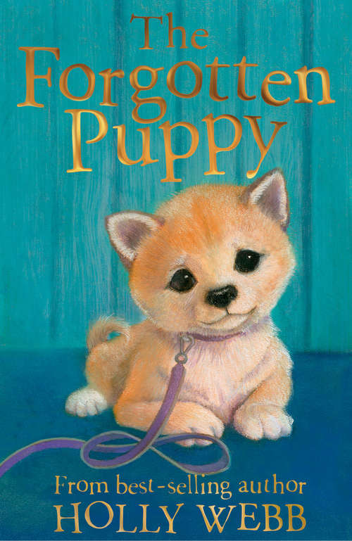 Book cover of The Forgotten Puppy (Holly Webb Animal Stories #29)