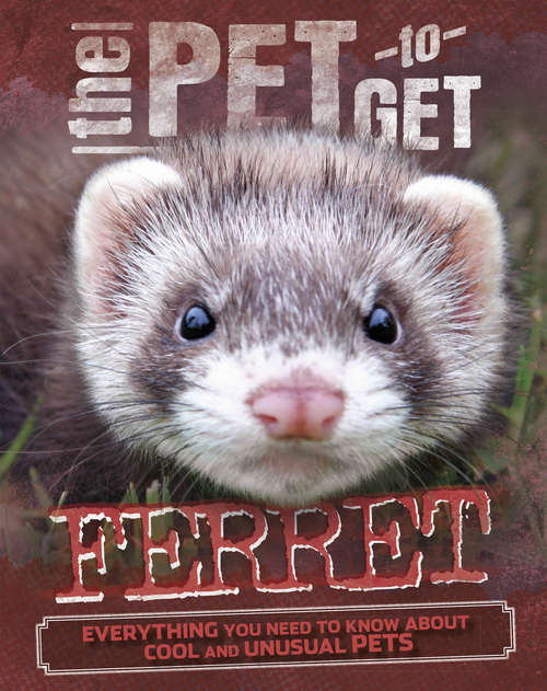 Book cover of Ferret: Ferret (The Pet to Get #5)