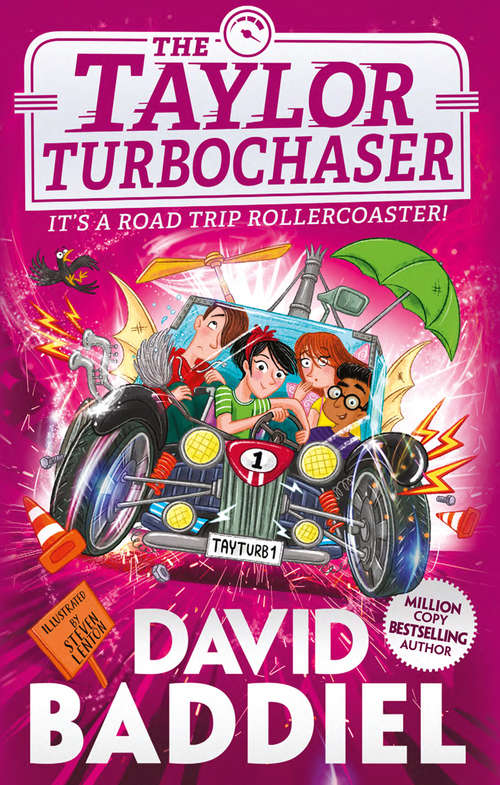 Book cover of The Taylor TurboChaser