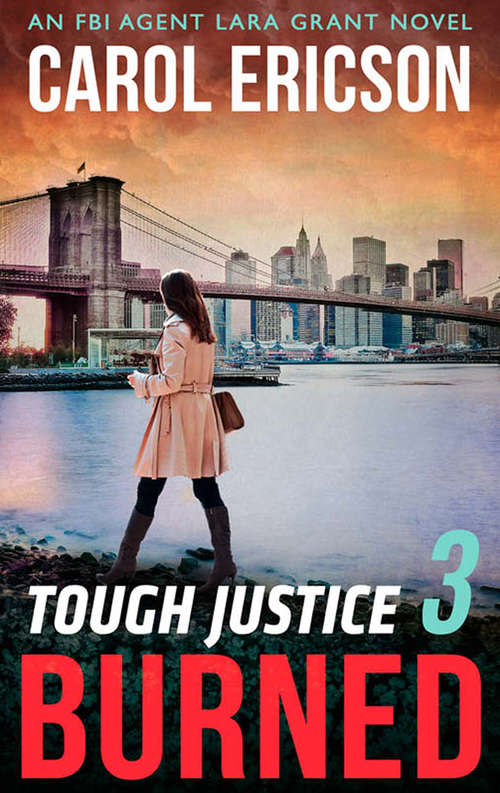 Book cover of Tough Justice: Burned (ePub edition) (Tough Justice #3)