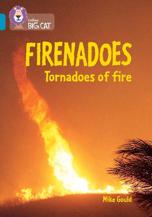 Book cover of Firenadoes: Tornadoes of fire: Band 13/Topaz (PDF) (Collins Big Cat)