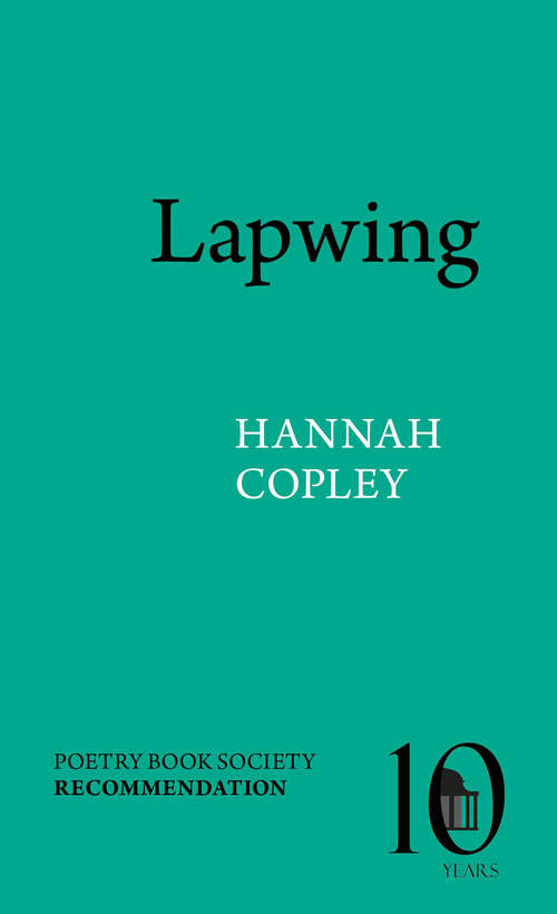 Book cover of Lapwing (Pavilion Poetry)
