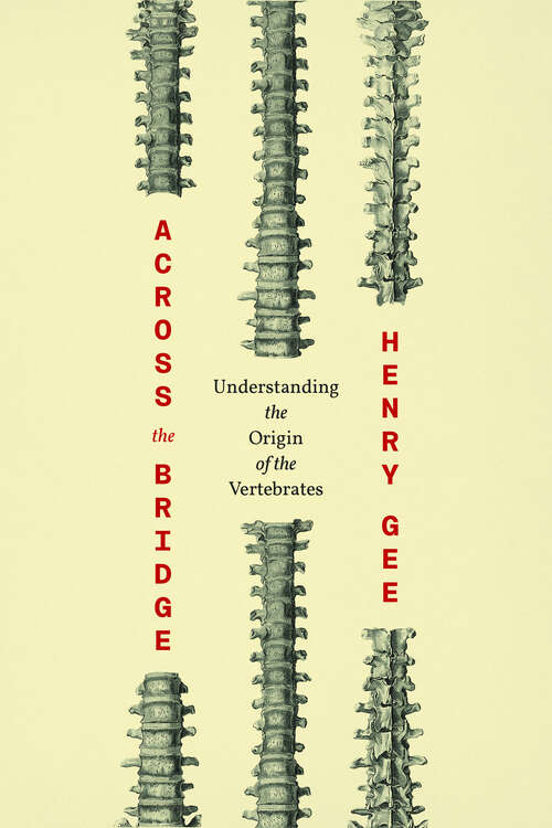 Book cover of Across the Bridge: Understanding the Origin of the Vertebrates
