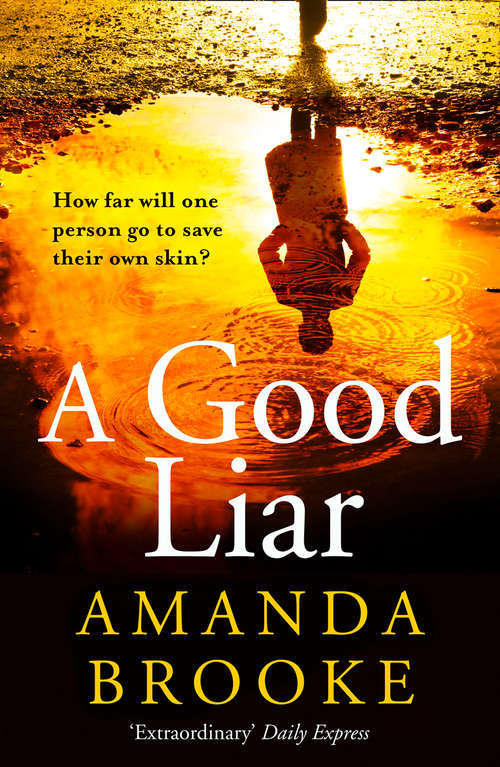 Book cover of A Good Liar (ePub edition)