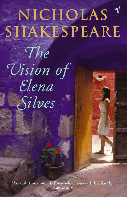 Book cover of The Vision Of Elena Silves