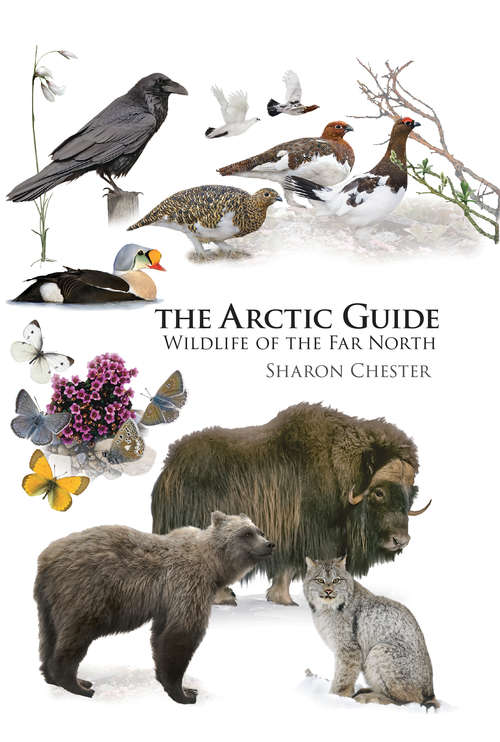 Book cover of The Arctic Guide: Wildlife of the Far North
