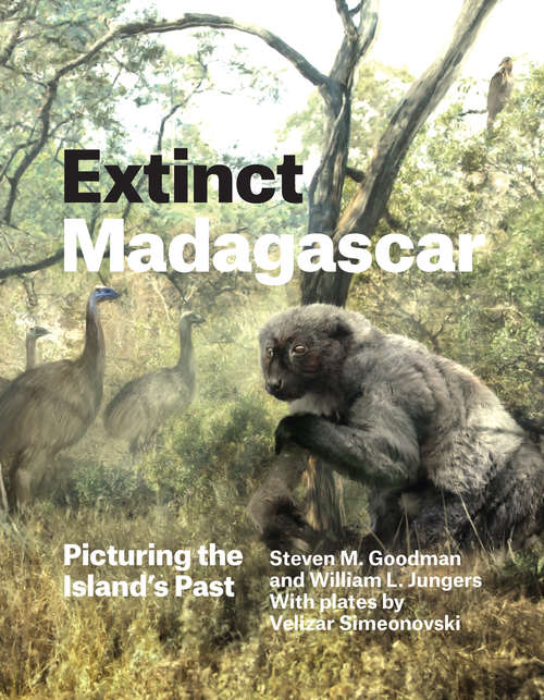 Book cover of Extinct Madagascar: Picturing the Island's Past