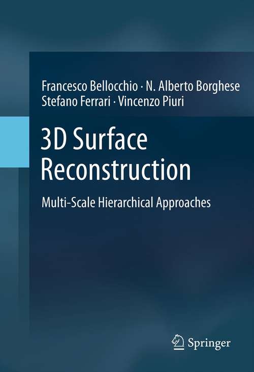 Book cover of 3D Surface Reconstruction: Multi-Scale Hierarchical Approaches (2013)