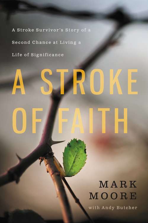 Book cover of A Stroke of Faith: A Stroke Survivor's Story of a Second Chance at Living a Life of Significance