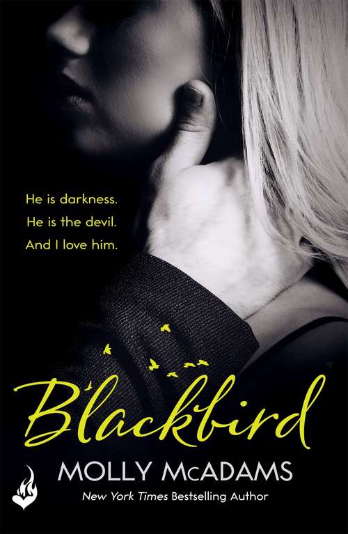 Book cover of Blackbird: A story of true love against the odds (Redemption Series #1)