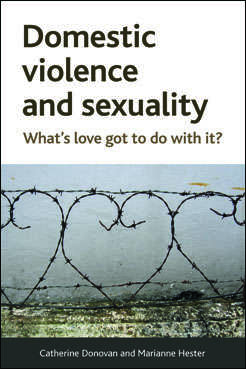 Book cover of Domestic violence and sexuality: What's love got to do with it?
