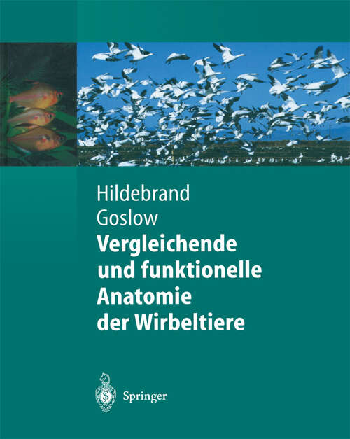 Book cover of Vergleichende und funktionelle Anatomie der Wirbeltiere (2004) (Springer-Lehrbuch)
