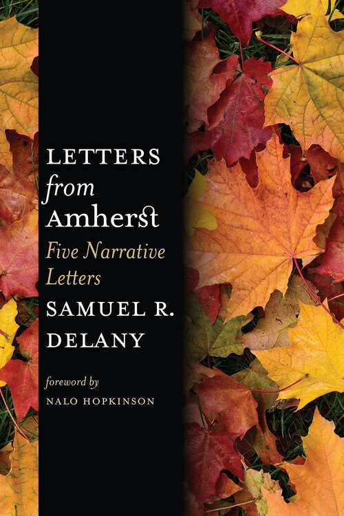 Book cover of Letters from Amherst: Five Narrative Letters