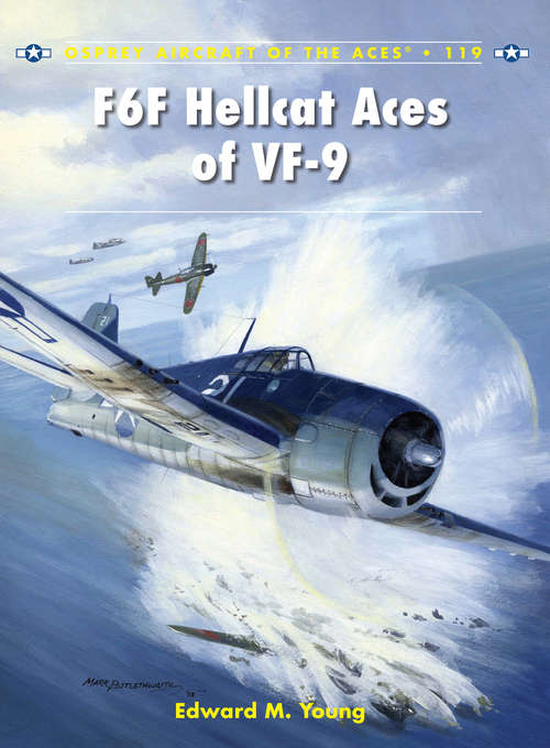Book cover of F6F Hellcat Aces of VF-9 (Aircraft of the Aces #119)