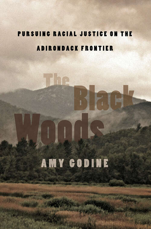 Book cover of The Black Woods: Pursuing Racial Justice on the Adirondack Frontier