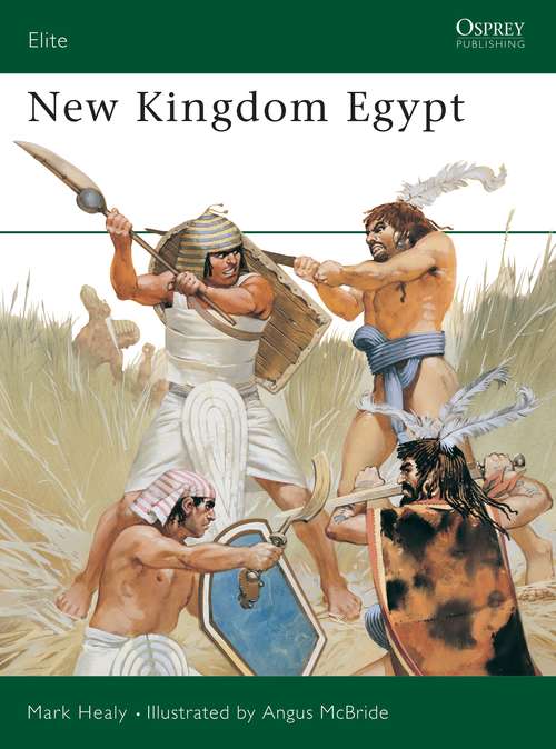 Book cover of New Kingdom Egypt (Elite)