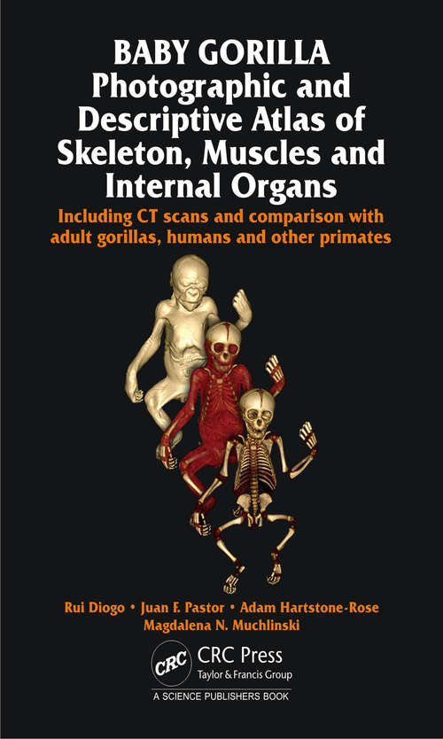 Book cover of Baby Gorilla: Photographic and Descriptive Atlas of Skeleton, Muscles and Internal Organs